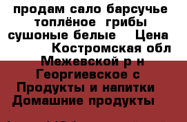 продам сало барсучье топлёное, грибы сушоные белые. › Цена ­ 5 000 - Костромская обл., Межевской р-н, Георгиевское с. Продукты и напитки » Домашние продукты   